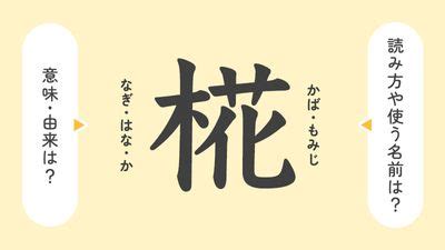 煕 人名|「椛」の意味や由来は？名前に込められる思いや名付。